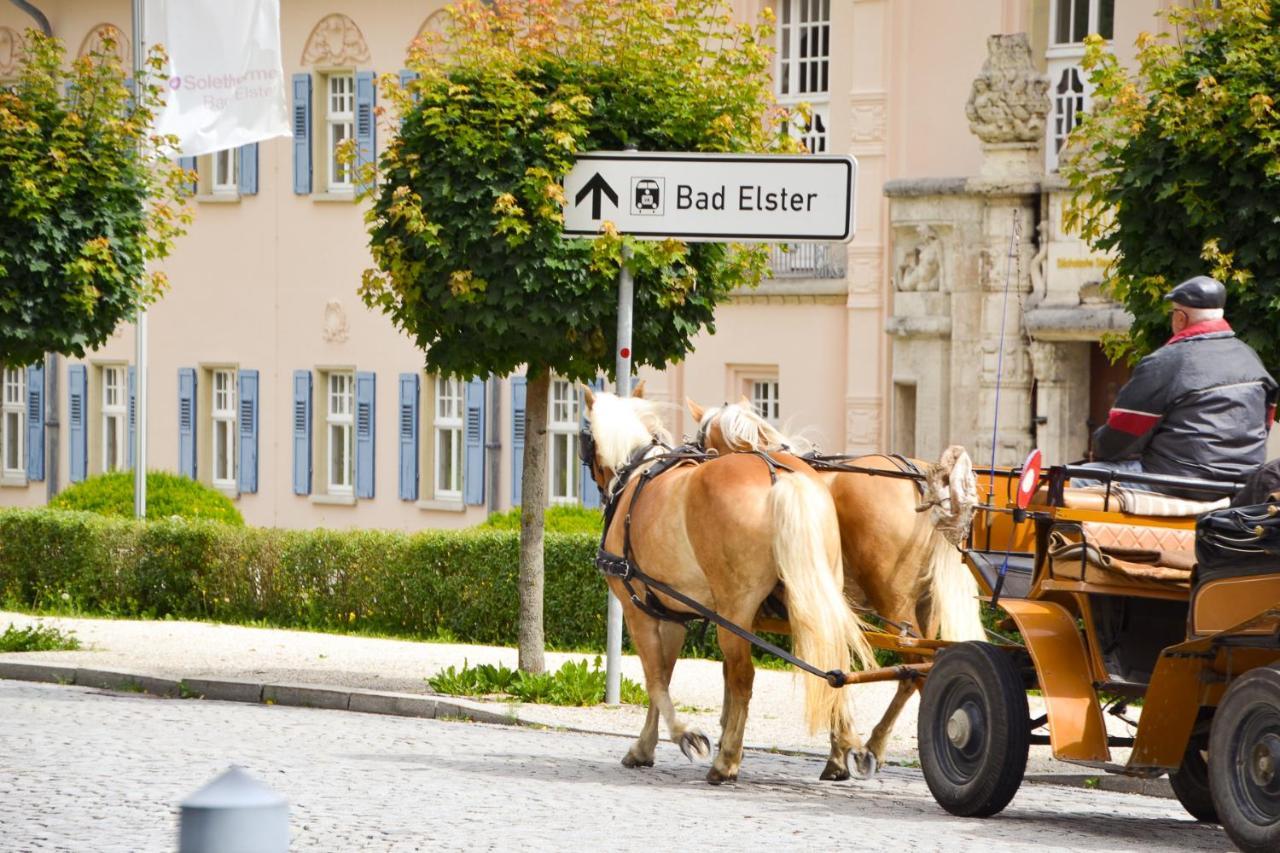 Hotel Koenig Albert Bad Elster Exterior photo